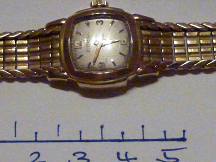 P1010856-2.jpg